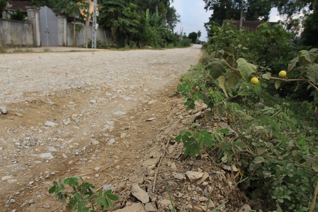 Đường gần 400 tỷ xuất hiện ổ voi, xuống cấp trầm trọng