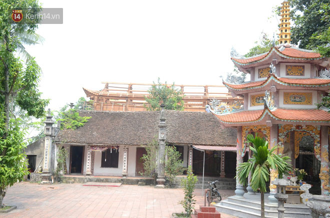 Ly kỳ chuyện cây sưa giá trăm tỷ ở Hà Nội, người dân mất ăn mất ngủ thay nhau canh giữ, mặc áo giáp sắt để chống kẻ trộm