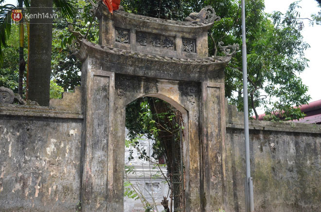 Ly kỳ chuyện cây sưa giá trăm tỷ ở Hà Nội, người dân mất ăn mất ngủ thay nhau canh giữ, mặc áo giáp sắt để chống kẻ trộm