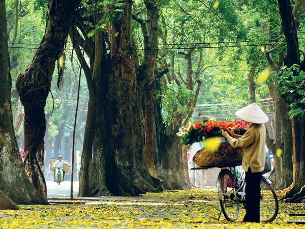 Chủ nhật của bạn (7/10): May mắn vây quanh Bảo Bình