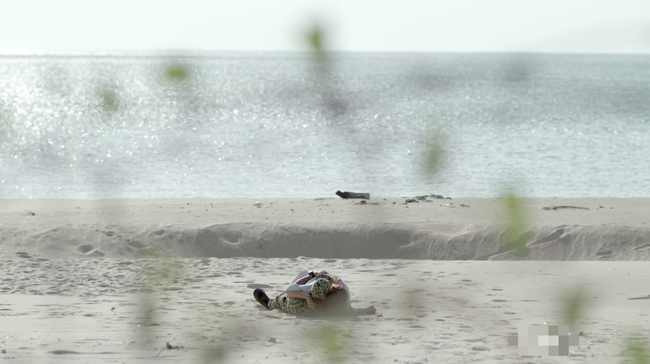 Hậu Duệ Mặt Trời bản Việt: Hết diễn đơ, Khả Ngân lại khiến khán giả bật cười với biểu cảm khó đỡ Hậu Duệ Mặt Trời bản Việt: Hết diễn đơ, Khả Ngân lại khiến khán giả bật cười với biểu cảm khó đỡ