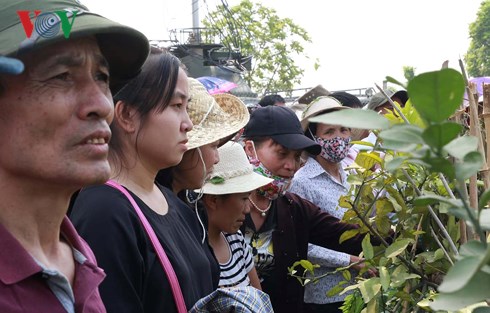 Toàn cảnh lễ truy điệu và an táng nguyên Tổng Bí thư Đỗ Mười