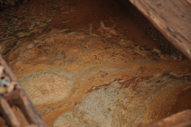 Hàng trăm hộ dân ở Đà Lạt bỏ hoang vườn tược vì nguồn nước bị ô nhiễm từ chợ nông sản