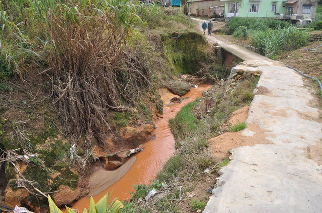 Hàng trăm hộ dân ở Đà Lạt bỏ hoang vườn tược vì nguồn nước bị ô nhiễm từ chợ nông sản