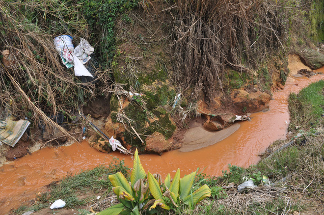 Hàng trăm hộ dân ở Đà Lạt bỏ hoang vườn tược vì nguồn nước bị ô nhiễm từ chợ nông sản