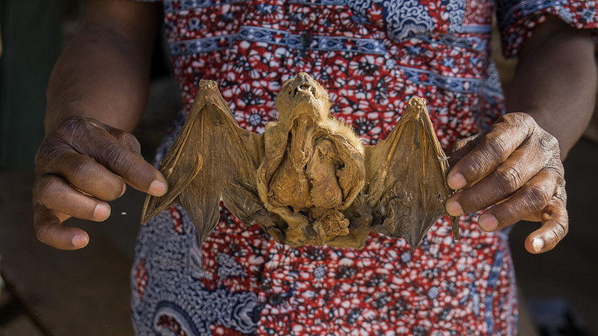 Cảnh tượng ám ảnh tại chợ bùa ngải lớn nhất thế giới ở châu Phi