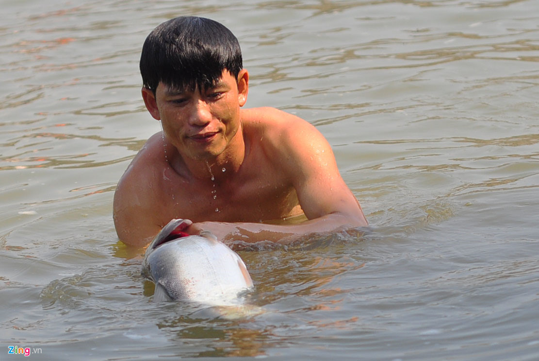 Thủy điện Trị An đóng đập, người dân đổ xô về bắt cá khủng