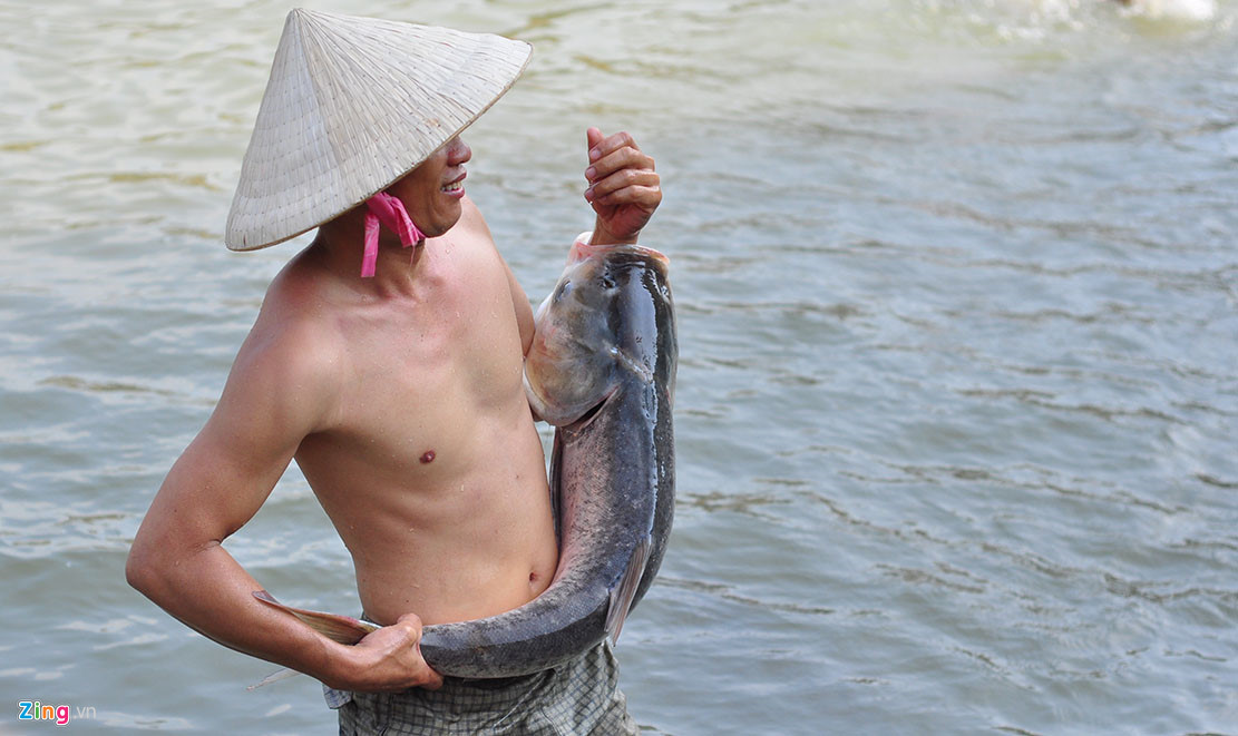 Thủy điện Trị An đóng đập, người dân đổ xô về bắt cá khủng