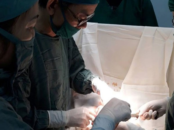 Ăn quá nhiều hồng ngâm, nữ sinh 14 tuổi phải nhập viện do tắc ruột