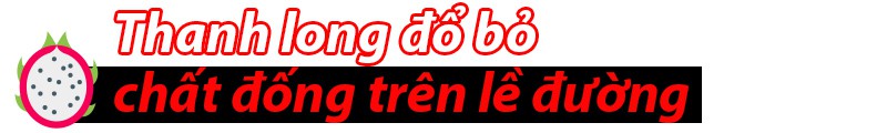 Nước mắt rơi trên ruộng thanh long