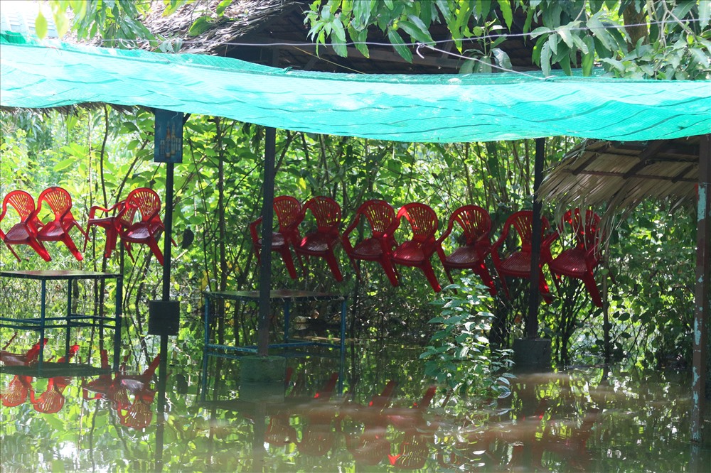 Chùm ảnh: Muôn kiểu chống ngập của người dân thủ phủ miền Tây