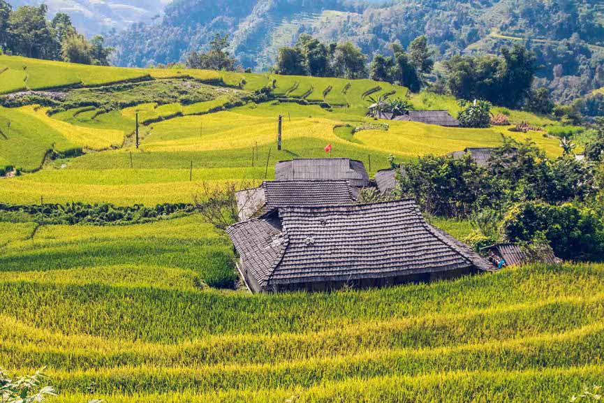 Ngỡ ngàng vẻ đẹp ruộng bậc thang Hoàng Su Phì mùa lúa chín