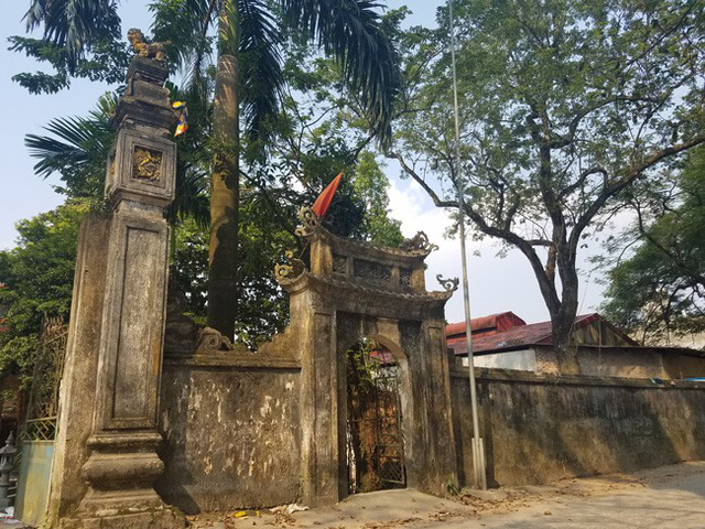 Diễn biến mới vụ người dân xin bán đấu giá cụ sưa trăm tỷ