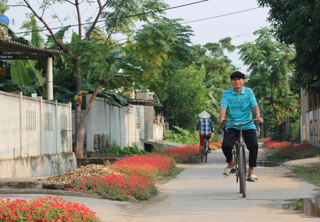 Mê mẩn đường hoa mười giờ ở ngôi làng bên sông Nhật Lệ