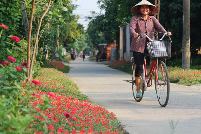 Mê mẩn đường hoa mười giờ ở ngôi làng bên sông Nhật Lệ