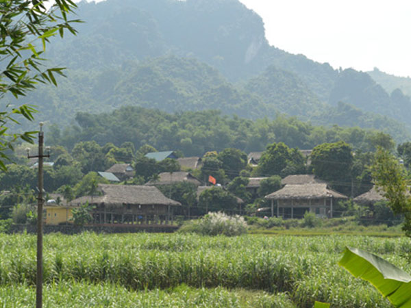 Hòa Bình: Tổ chức trăm ngày cho chồng, 35 người nhập viện