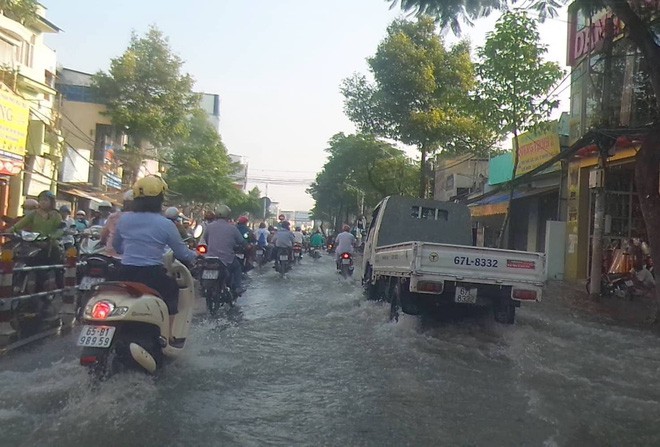 Triều cường dâng cao, cá bơi trên đường ở Cần Thơ