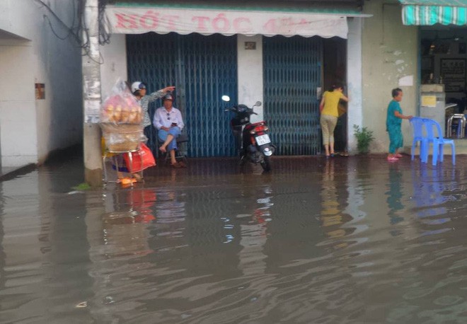 Triều cường dâng cao, cá bơi trên đường ở Cần Thơ