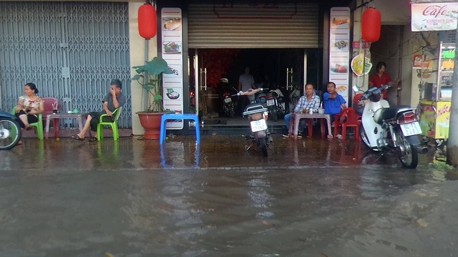 Triều cường dâng cao, cá bơi trên đường ở Cần Thơ