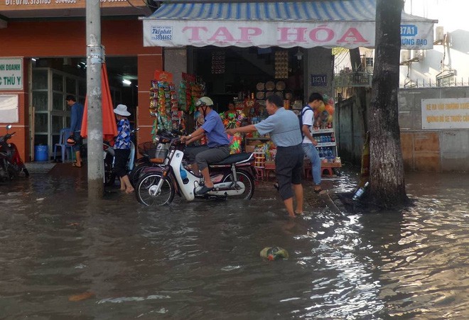 Triều cường dâng cao, cá bơi trên đường ở Cần Thơ