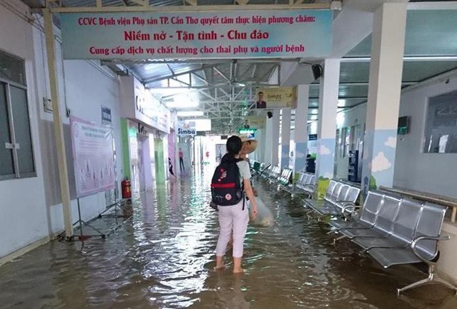 Triều cường dâng cao, cá bơi trên đường ở Cần Thơ