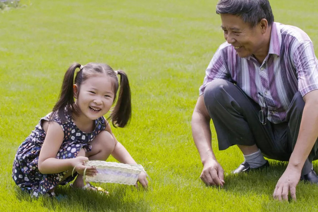 Khu vườn rộng 5000m² đẹp như cổ tích được cải tạo từ bãi đất hoang của người đàn ông 70 tuổi