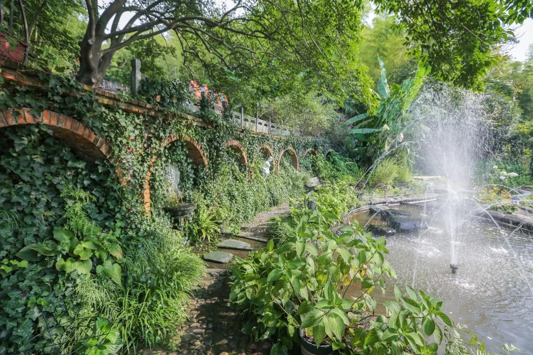 Khu vườn rộng 5000m² đẹp như cổ tích được cải tạo từ bãi đất hoang của người đàn ông 70 tuổi