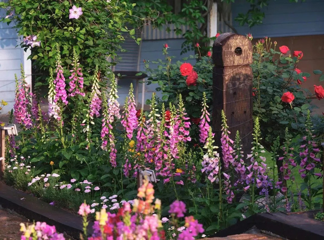 Khu vườn rộng 5000m² đẹp như cổ tích được cải tạo từ bãi đất hoang của người đàn ông 70 tuổi