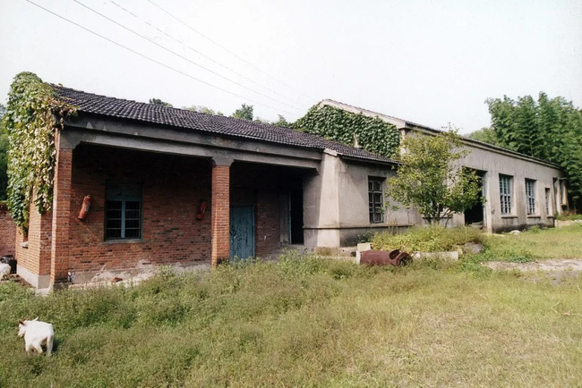 Khu vườn rộng 5000m² đẹp như cổ tích được cải tạo từ bãi đất hoang của người đàn ông 70 tuổi