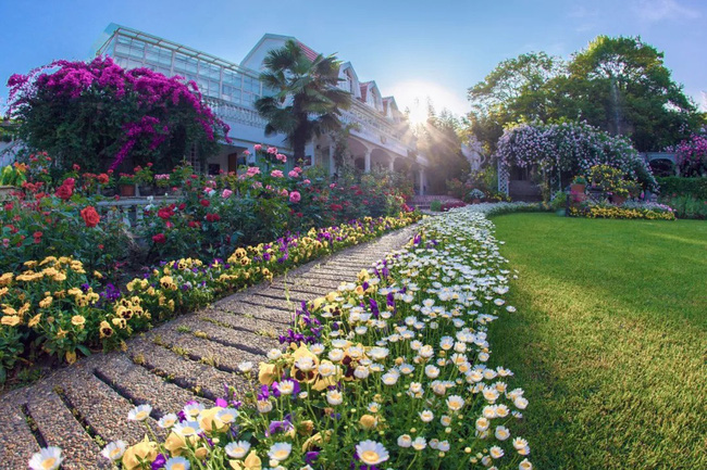 Khu vườn rộng 5000m² đẹp như cổ tích được cải tạo từ bãi đất hoang của người đàn ông 70 tuổi