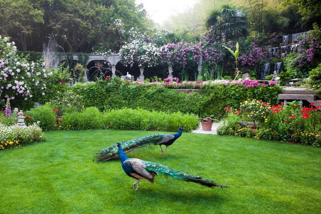 Khu vườn rộng 5000m² đẹp như cổ tích được cải tạo từ bãi đất hoang của người đàn ông 70 tuổi