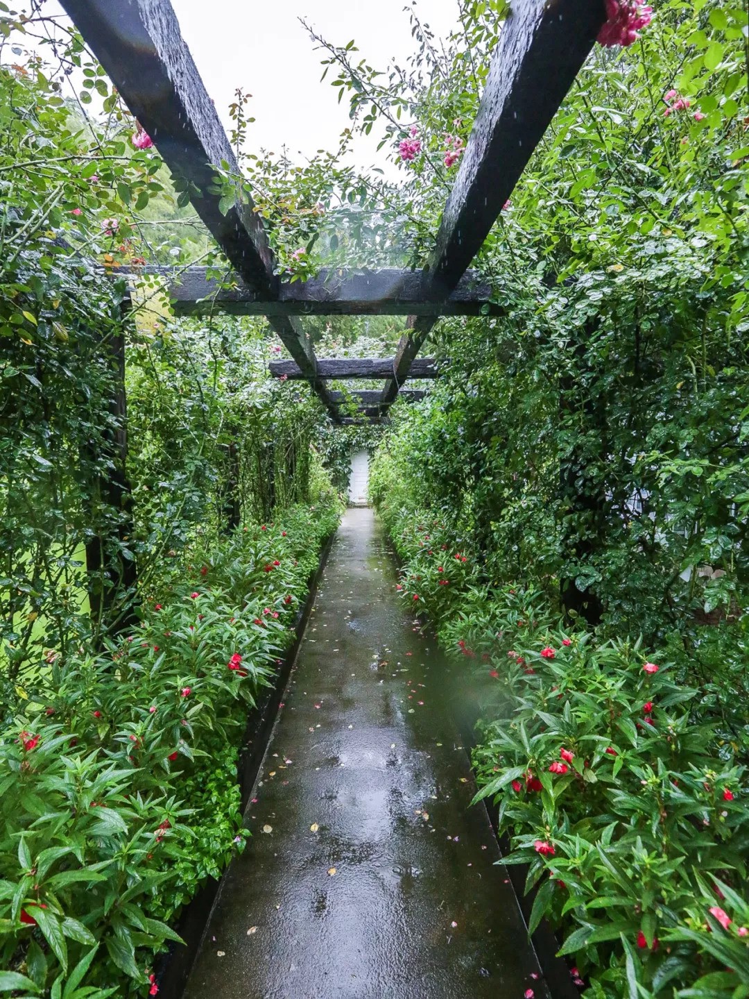 Khu vườn rộng 5000m² đẹp như cổ tích được cải tạo từ bãi đất hoang của người đàn ông 70 tuổi