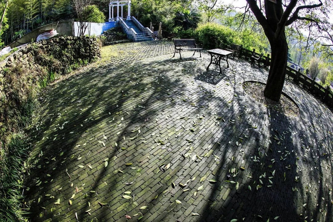 Khu vườn rộng 5000m² đẹp như cổ tích được cải tạo từ bãi đất hoang của người đàn ông 70 tuổi