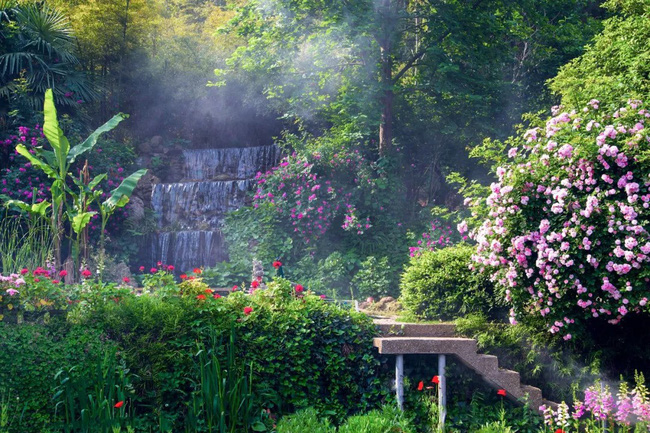 Khu vườn rộng 5000m² đẹp như cổ tích được cải tạo từ bãi đất hoang của người đàn ông 70 tuổi