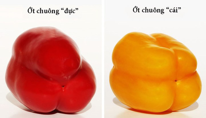 Cách chọn trái cây tươi ngon bạn nên biết