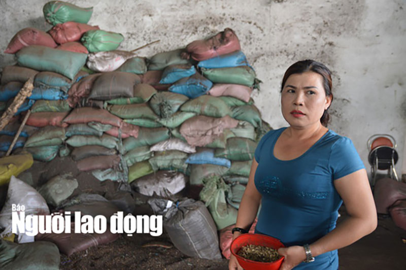 Diễn biến mới vụ nhuộm than pin vào tạp chất để trộn vào hồ tiêu