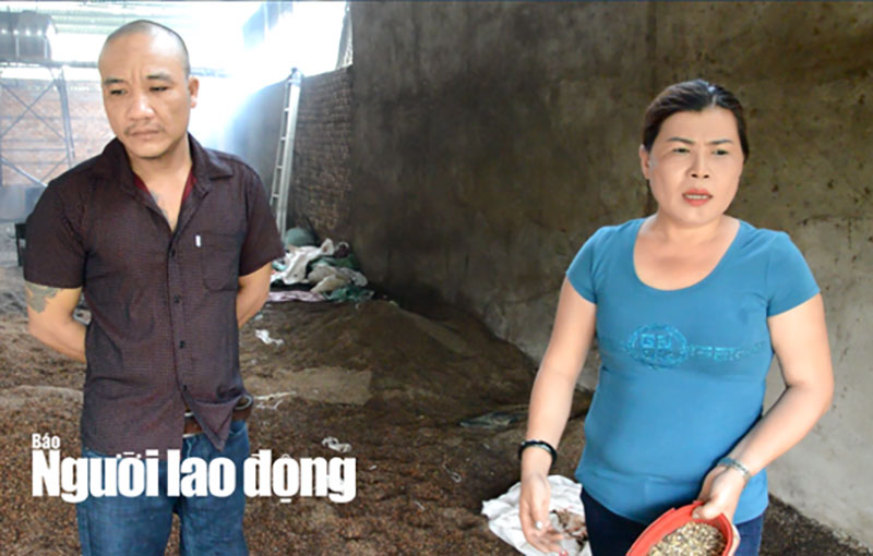 Diễn biến mới vụ nhuộm than pin vào tạp chất để trộn vào hồ tiêu