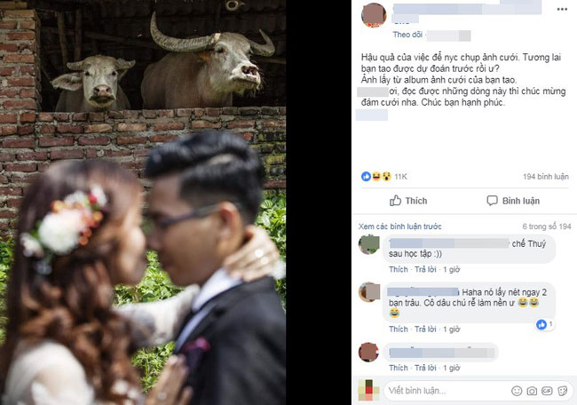 Bức ảnh cưới đầy những chiếc sừng của người thợ ảnh thâm nho, chụp cô dâu mà nhìn vào chỉ thấy trâu