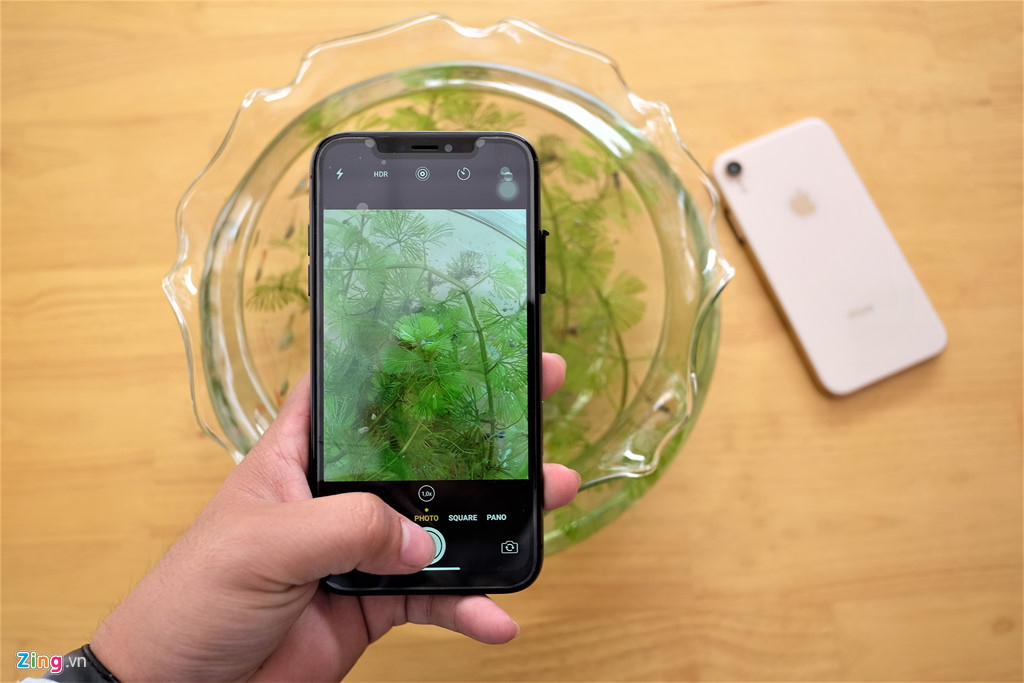 iPhone XR chưa mở bán nhưng hàng nhái đã xuất hiện tại VN