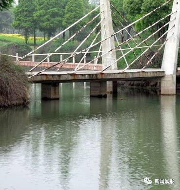 Đồng ý kết hôn sau 13 ngày quen biết, cô gái không ngờ mình là miếng mồi trong kế hoạch giết người của gã chồng