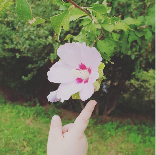 Nữ thần đình đám Chae Rim: Hết thời, bị lãng quên và cuộc sống hiện tại nơi xứ người