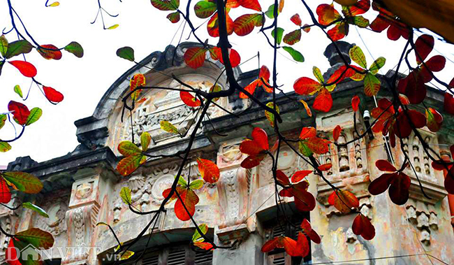 Ảnh: Đẹp nao lòng sắc màu thu Hà Nội