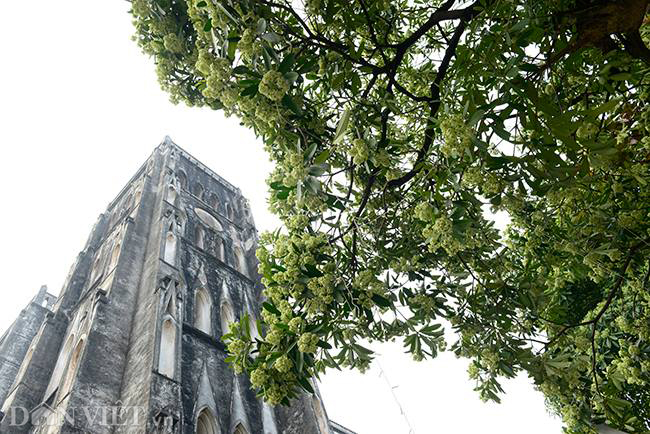 Ảnh: Đẹp nao lòng sắc màu thu Hà Nội