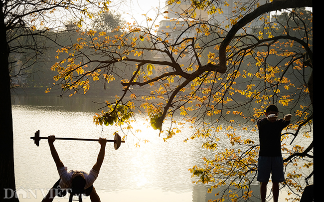 Ảnh: Đẹp nao lòng sắc màu thu Hà Nội