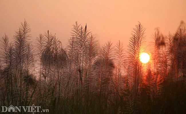Ảnh: Đẹp nao lòng sắc màu thu Hà Nội