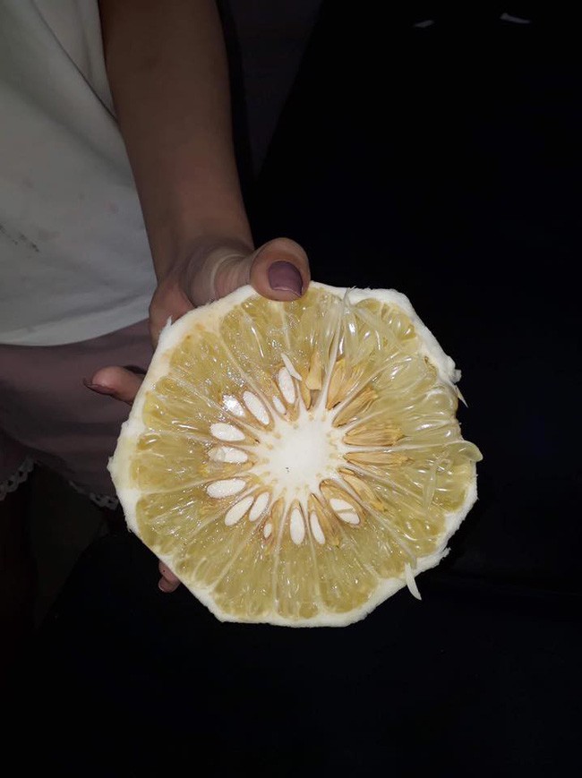 Hớn hở học theo clip dạy bóc bưởi không dính vỏ, cô gái trẻ bị mẹ mắng tơi bời vì quá sai