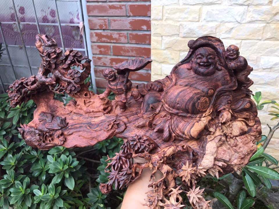 Chuyên gia giải mã nguyên nhân khiến gỗ sưa có giá trên trời, đại gia săn lùng