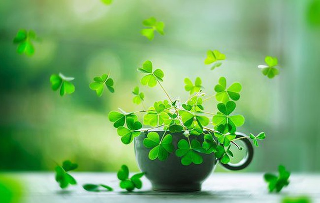 Thứ Bảy của bạn (13/10): Song Ngư sứ giả hòa bình