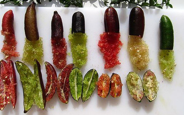 Chanh ngón tay có hương vị lạ giá 3,5 triệu đồng/kg từng suýt bị tuyệt chủng