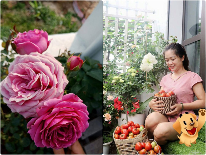 Ngôi nhà hoa hồng nhỏ nhắn và vô cùng dễ thương giữa thành phố Hạ Long của mẹ trẻ xinh đẹp